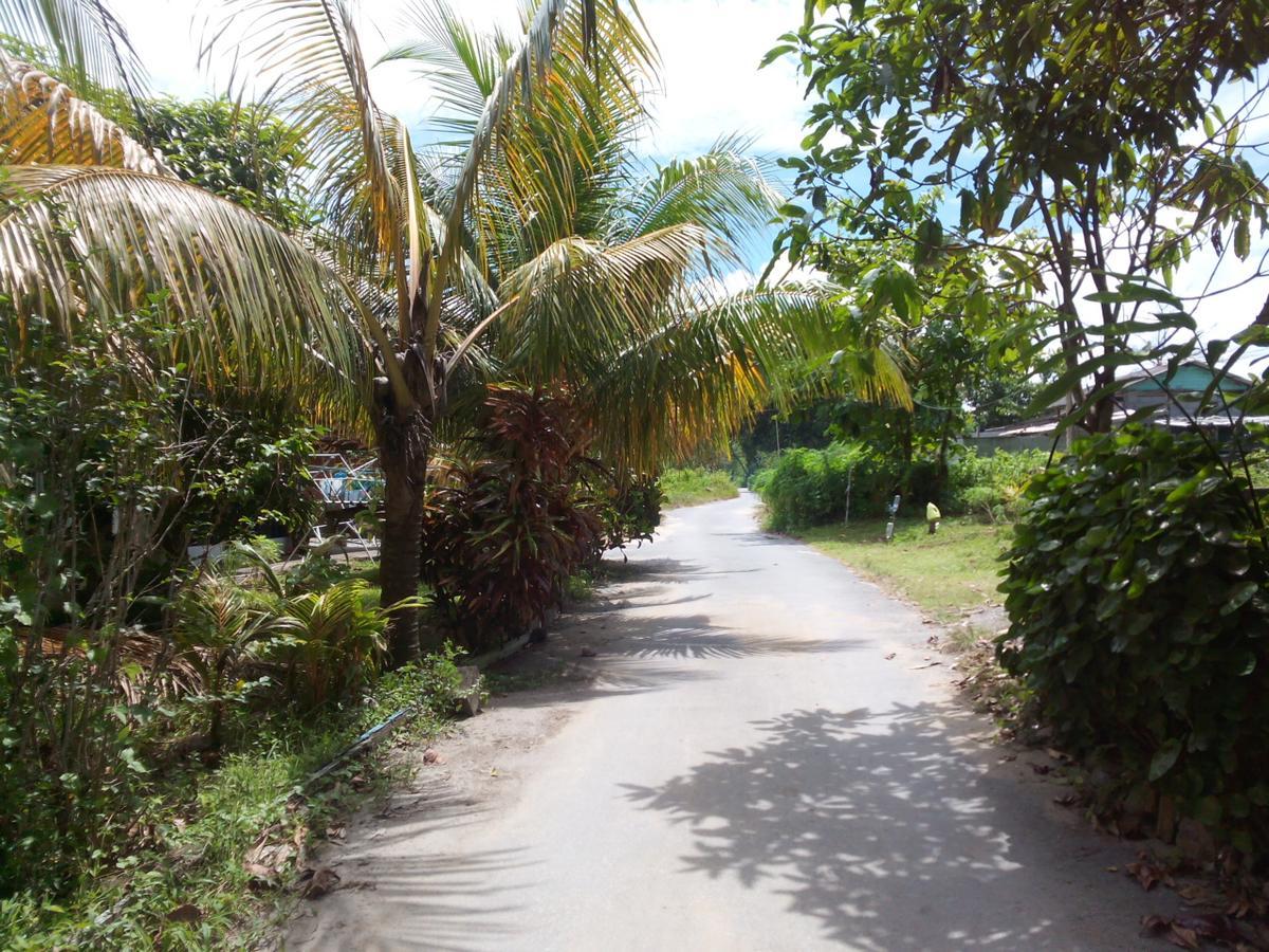Pandan Beach Homestay Kampong Pandan Exterior photo