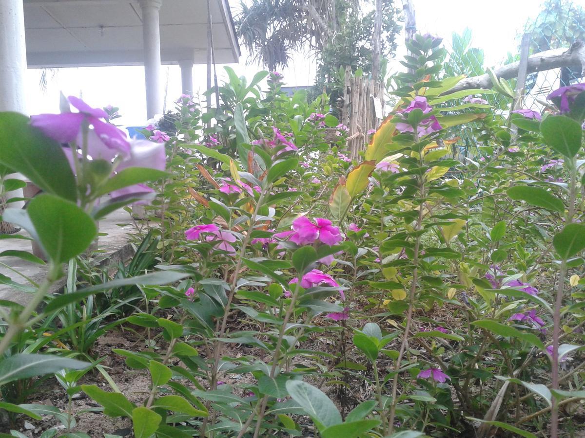 Pandan Beach Homestay Kampong Pandan Exterior photo